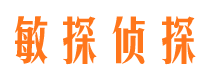 乐东侦探公司